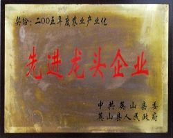 2005个体创业奖-英山县委