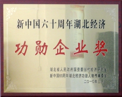 2010功勋企业奖-湖北国资委